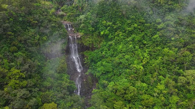 Aerial view of a beautiful tropical waterfall cascading through a lush green jungle in Mauritius