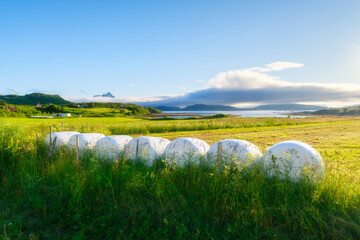 Harvested hay bales in a field with mountains and fjords in Lofoten, Norway. Scenic summer agricultural landscape with northern nature and rural farming in Scandinavia. © biletskiyevgeniy