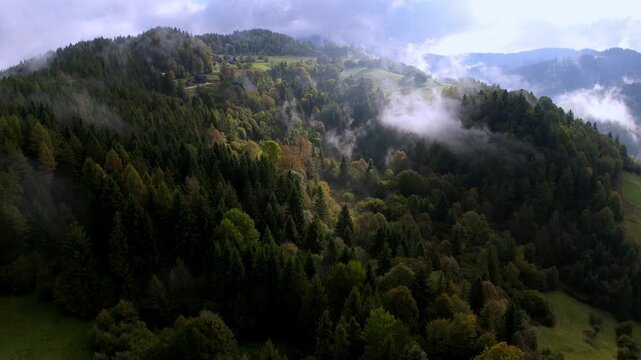 Aerial forward motion over misty mountain forest at sunrise