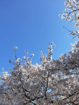 스톡사진413