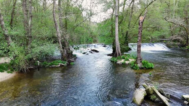 Aerial view of river flowing through green forest with weir