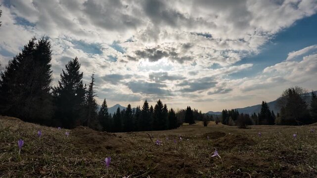 Spring Awakening in Mountains with Dramatic Sky Timelapse