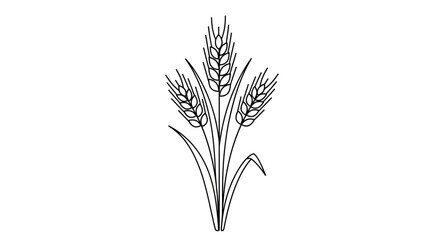 Fototapeta premium Line drawing of wheat stalks with leaves on a white background.
