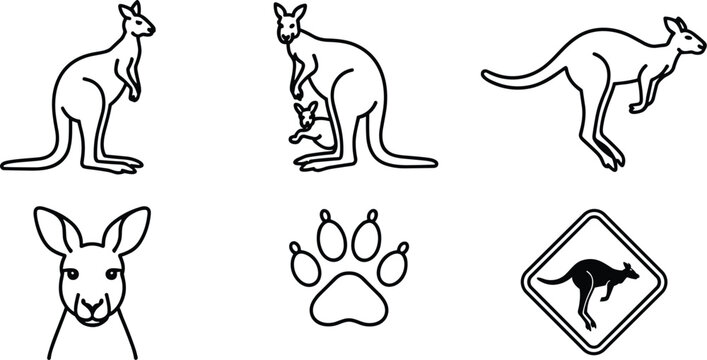 Collection of kangaroo icons and symbols marsupial