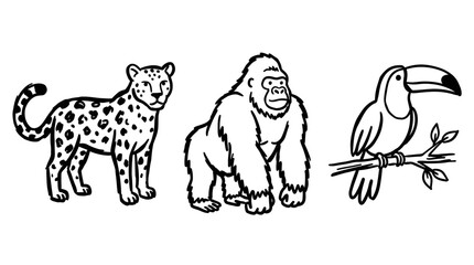 Fototapeta premium Wildlife Nature Education: Black White Line Art Leopard, Gorilla, Toucan Jungle Animals Set