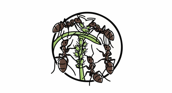 Cartoon ants tending to green aphids on a plant stem within a circle