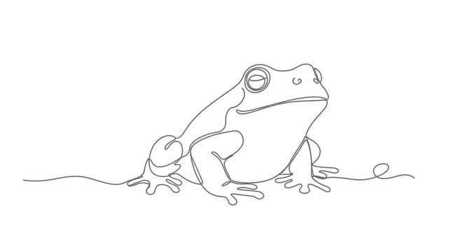 Single line drawing of a frog with closed eyes on a white background.