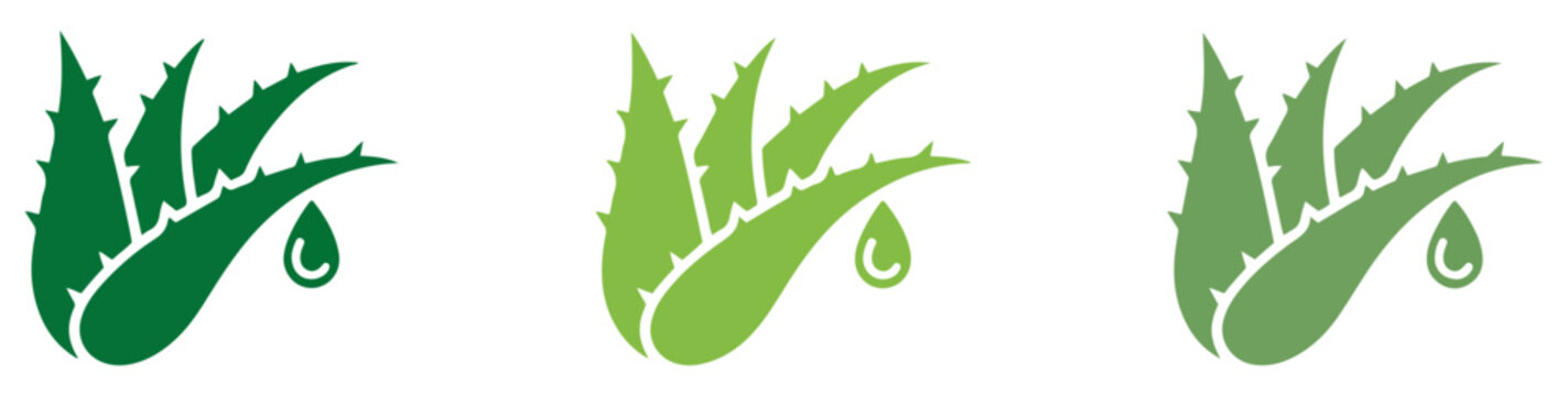 aloe vera leaf skincare natural icon set