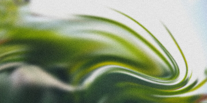 The composition flows with organic energy, resembling distorted reflection on water or high-speed motion blur. takes on raw lo-fi texture that contrasts beautifully with the fluid sweeping curves