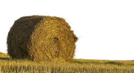 Single hay bale isolated on white background studio composition. Rolled straw object appears alone with clean minimal backdrop. Concept of agriculture element cutout object.. © valiantsin