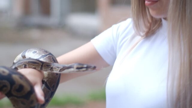 Young woman holding a python snake in an abandoned urban environment, wild concept