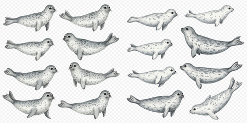 Watercolor illustration of various cute baby seals in different poses, isolated on a transparent background. © Akun