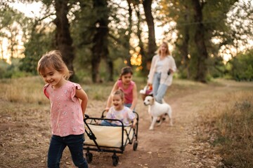Happy children pulling wagon with their twin sisters in a forest path © Jelena