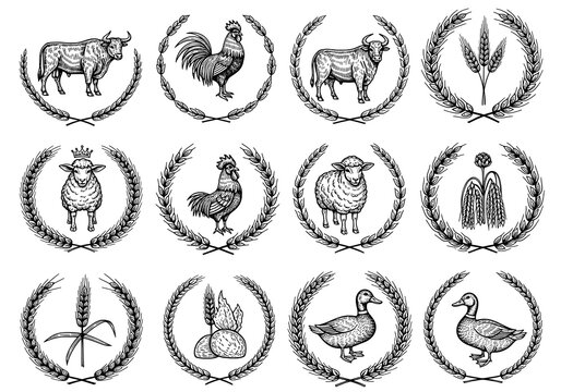 A Collection of Farm Animals and Plants in Wreaths