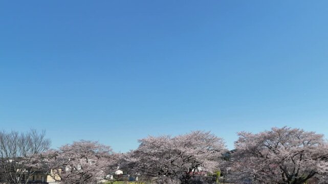 Hitome Senbonzakura | Drone Sideways | Town - 4K Aerial Video
