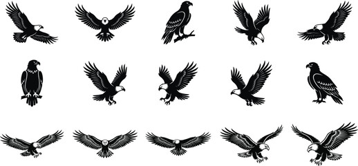 Fototapeta premium Collection of eagle silhouettes in flight and perched positions, detailed black bird vector set, spread wings predator icons for logos, tattoos, wildlife and design use
