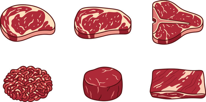 Raw beef steak cuts and ground meat set, butcher shop icons for grilling and cooking, vector illustration
