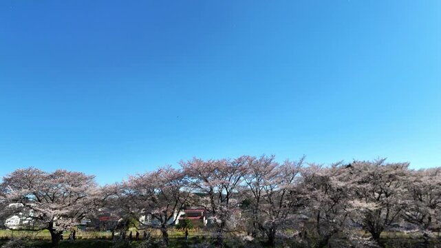 Hitome Senbonzakura | Wide Shot | Huge Sky - 4K Aerial Video

