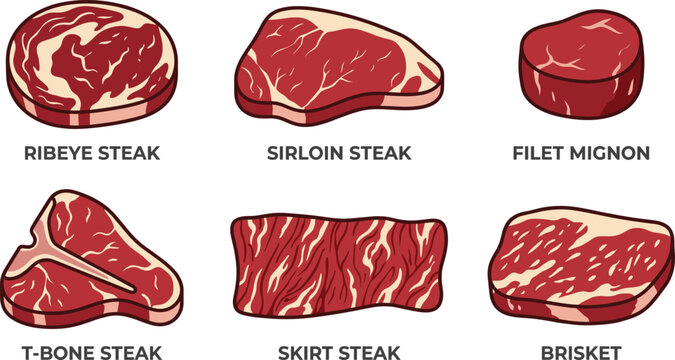 Beef steak cuts collection set, ribeye sirloin filet mignon t-bone and brisket icons, vector illustration
