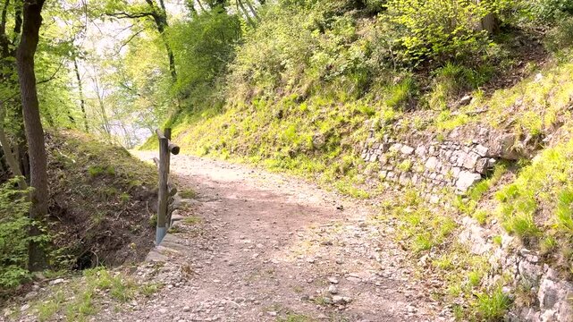 POV on Sentiero di Gandria Lugano, Scenic Olive Trail by Lake, Travel Lifestyle Nature Experience in Switzerland