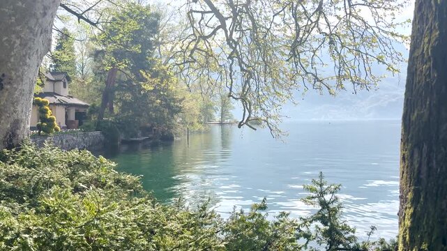 Lake Lugano View Through Lush Park Vegetation with Monte San Salvatore Mountain, Scenic Nature Landscape for Travel and Relaxing Background