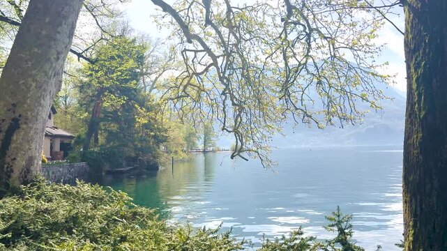 Lake Lugano View Through Lush Park Vegetation with Monte San Salvatore Mountain, Scenic Nature Landscape for Travel and Relaxing Background