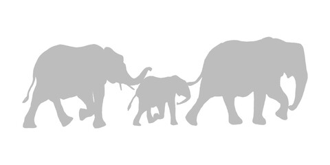 Gray silhouette of elephant family walking together in a line on transparent background © saifulislam9