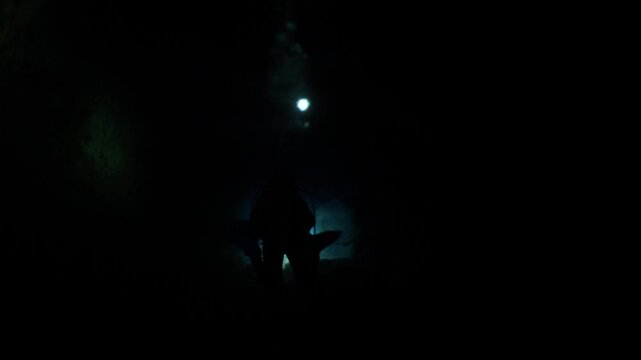 cave diving underwater scuba divers exploring cave dive with torch light in cavern ocean scenery