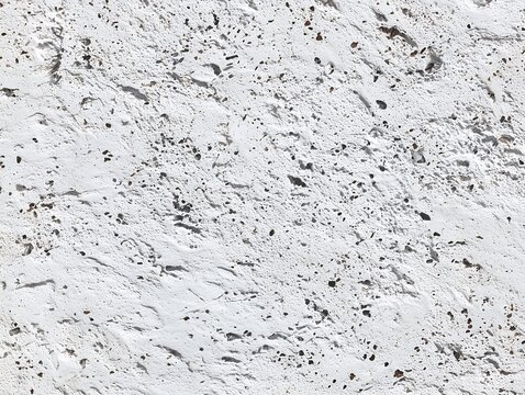 White textured volcanic rock surface with porous details