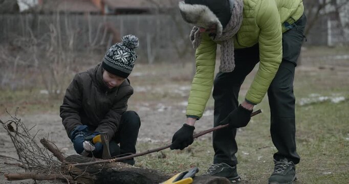 Men with kid cut branches in backyard and stockpile firewood in shed for winter. 4K 10-bit