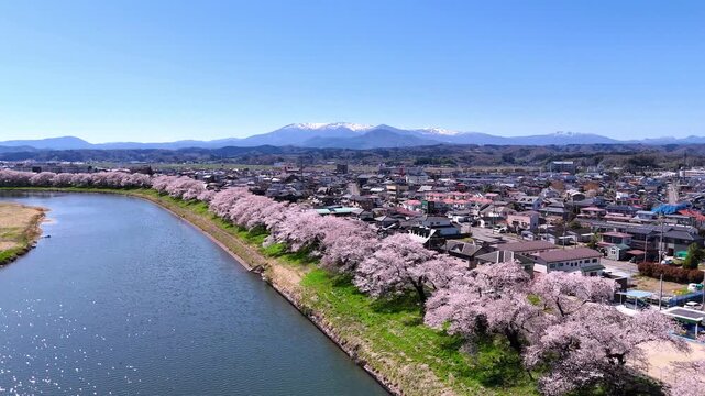 Perfect Spring Landscape | Sakura | Zao - 4K Aerial Video
