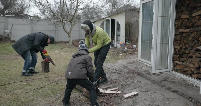 Men with kid cut branches in backyard and stockpile firewood in shed for winter. 4K 10-bit