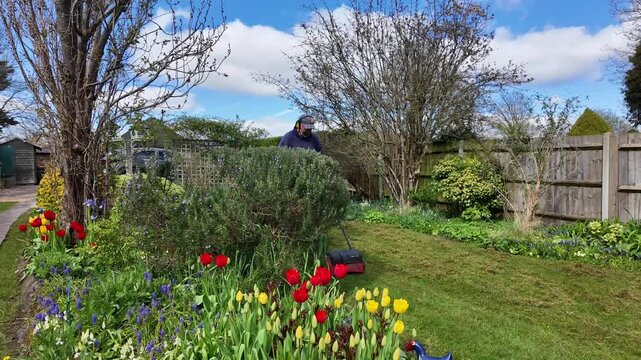 Winchester Hampshire England UK. 07.04.2026. Video. Gardener using an electric scarifyer to remove. thatch from a lawn. in a country Garden.