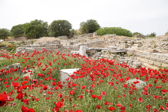 The ruins of ancient Troy in Turkey