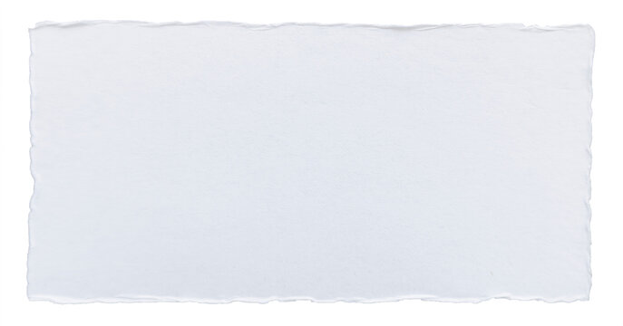 Blank white paper card, rectangular note with rounded corners isolated on transparent background, realistic paper texture