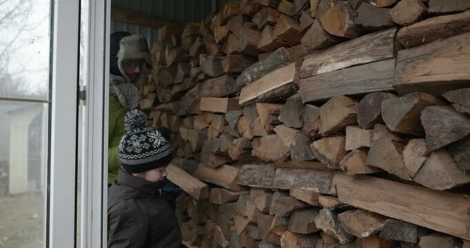 Men with kid cut branches in backyard and stockpile firewood in shed for winter. 4K 10-bit