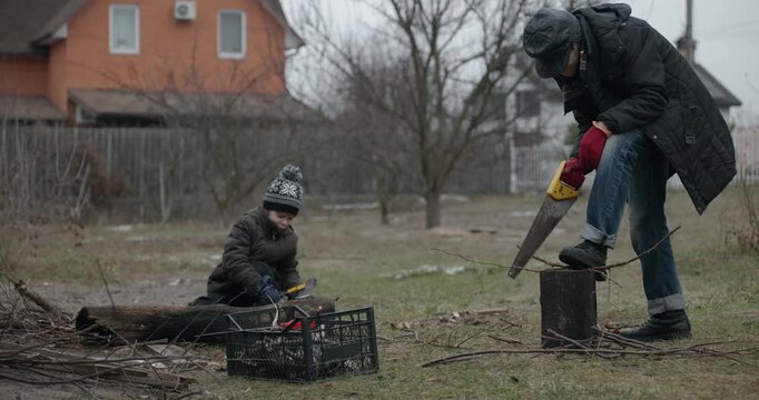 Men with kid cut branches in backyard and stockpile firewood in shed for winter. 4K 10-bit