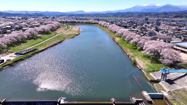 Grand Panorama | Hitome Senbonzakura | Spring - 4K Aerial Video
