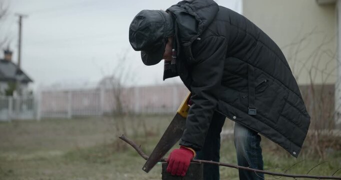 Men with kid cut branches in backyard and stockpile firewood in shed for winter. 4K 10-bit