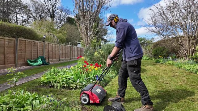 Winchester Hampshire England UK. 07.04.2026. Video. Gardener using an electric scarifyer  adjusts the power cable for safer scarifying on the lawn of an English country garden.