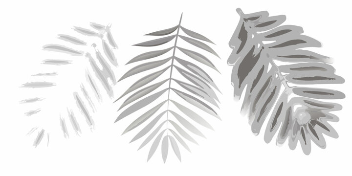 Stylized grayscale illustration of tropical monstera and palm leaves