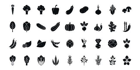 Fototapeta premium Comprehensive Vegetable and Herb Icon Set: Black Silhouette Vector Collection with Carrot, Broccoli, Pumpkin, Mushroom, and Greens for Healthy Food Branding, Menu, and Garden Design