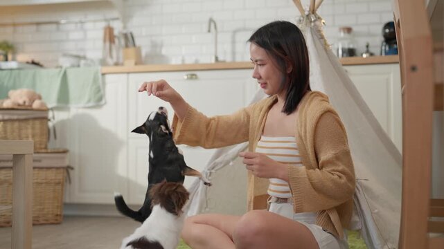 Young woman feeding playful dog cozy home interior near teepee tent and kitchen cabinets, pet care and training scene bright nursery room, woman with dog sitting floor indoors for home and kitchen