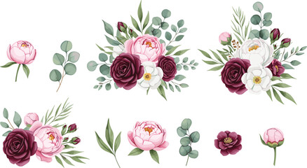 Beautiful floral collection with burgundy roses pink peonies and eucalyptus leaves in watercolor vector style isolated on white background for elegant wedding invitation design © Mahsina