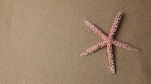 Wind blowing on the sand and opening pink starfish , top view