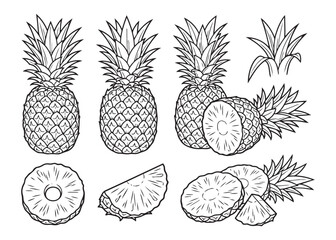 Fototapeta premium Fresh pineapple fruit vector illustration set with whole slices and half pieces for food packaging.