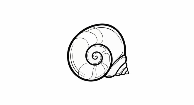 Detailed line drawing of a spiraled snail shell on a white background