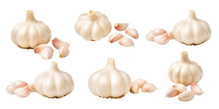 Set of garlics isolated on white