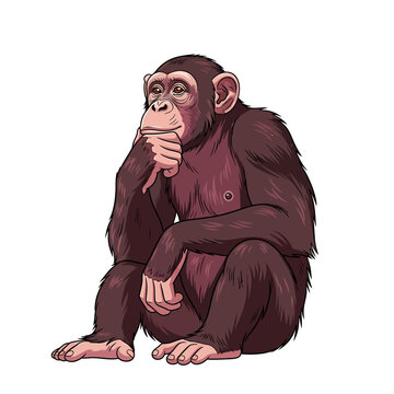 Illustration of a thoughtful monkey sitting with hand on chin against a white background