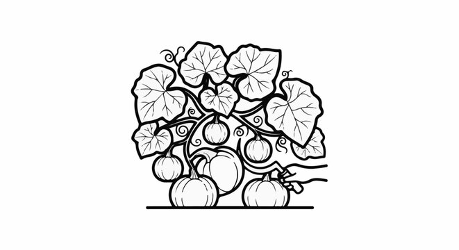 Stylized line art features pumpkins and large leaves on a vine